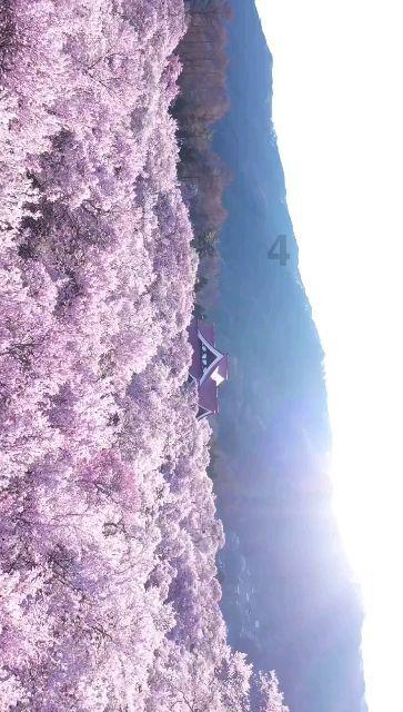 鑫鑫租车赚钱靠谱吗？游戏画面